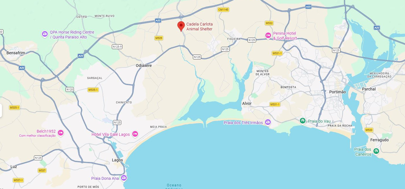 Dog Shelter Google Maps Link