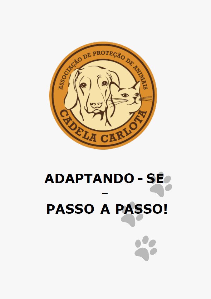 Preview of 'Adaptando Se Passo A Passo'