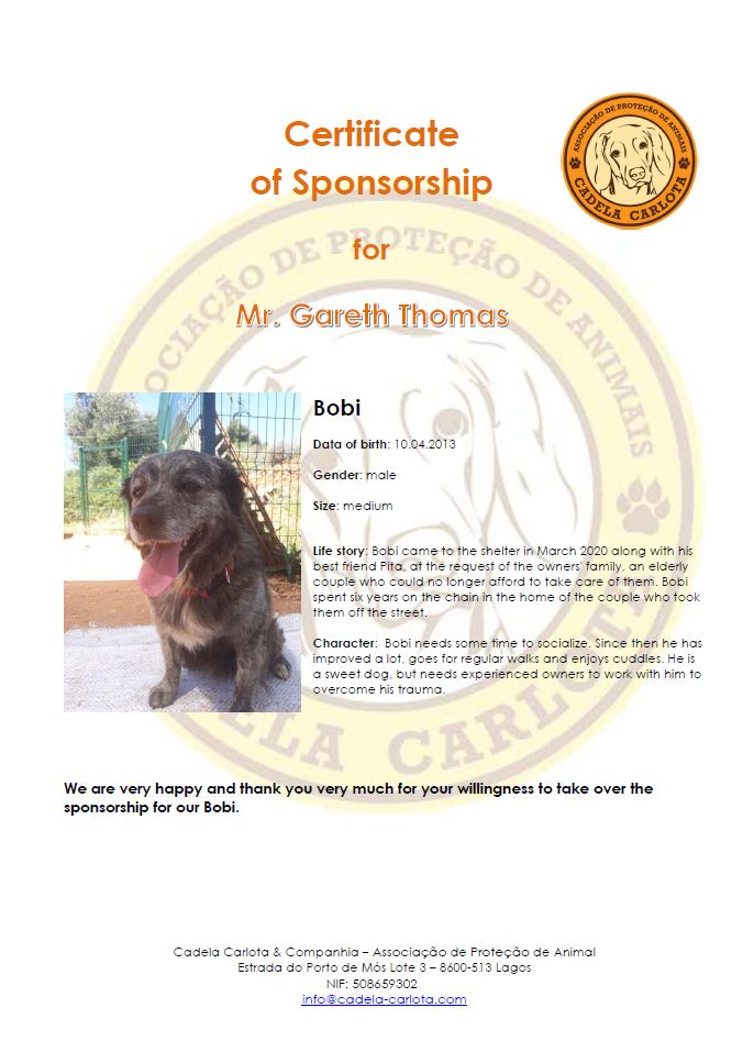 Preview of 'Example Of Sponsoring Certificate'